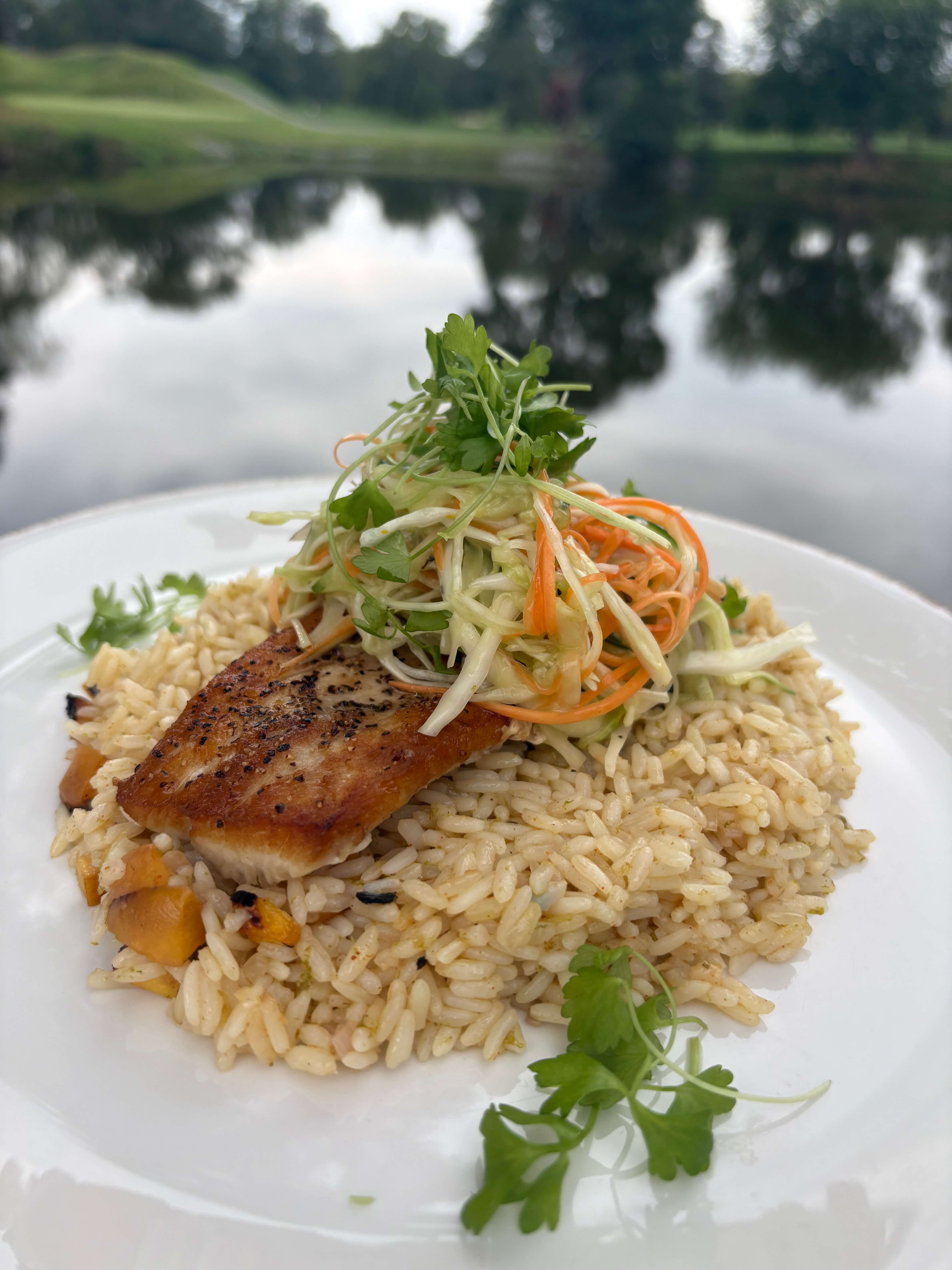 Mahi-Mahi